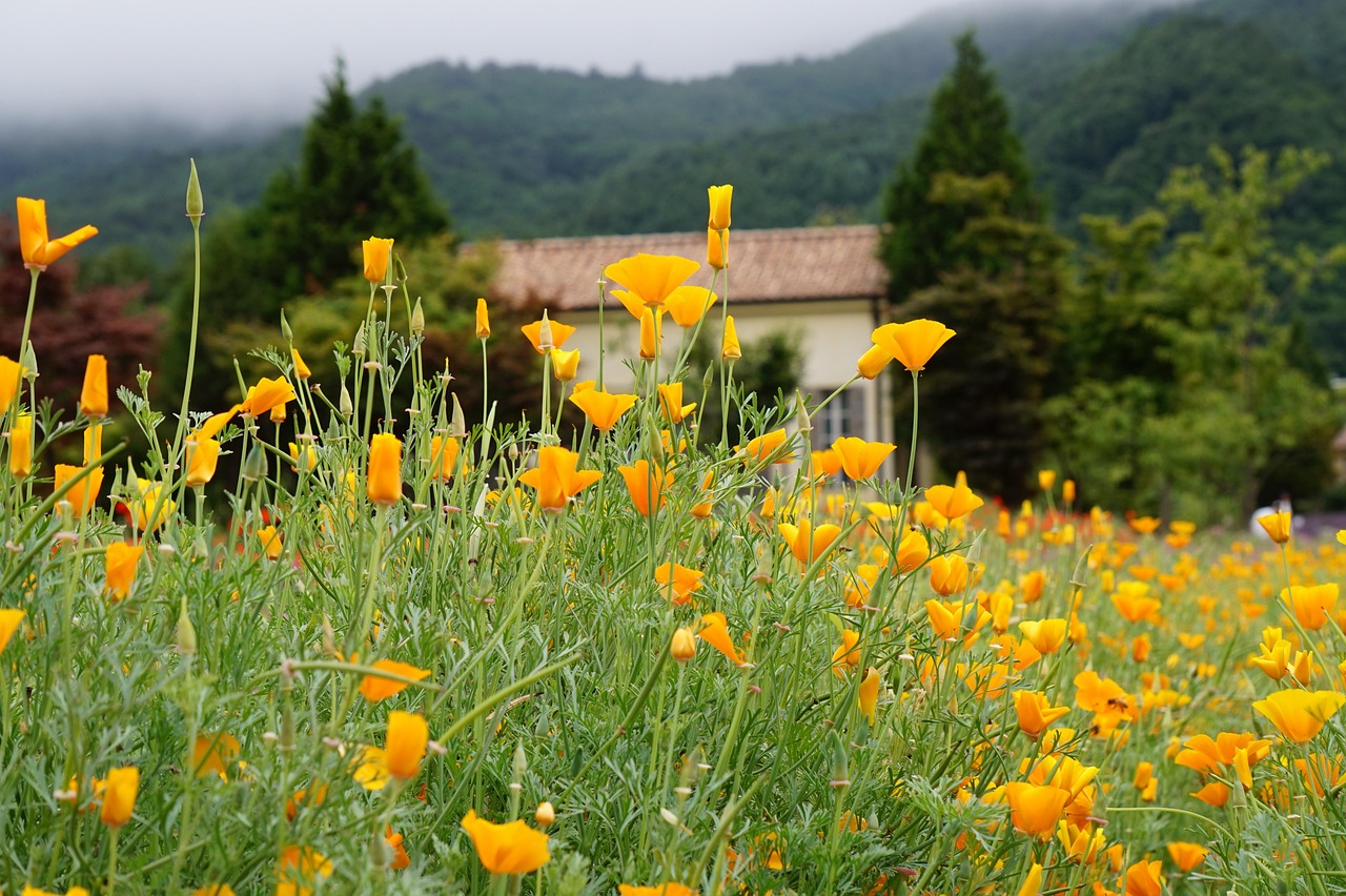 烟草制品的生产加工过程