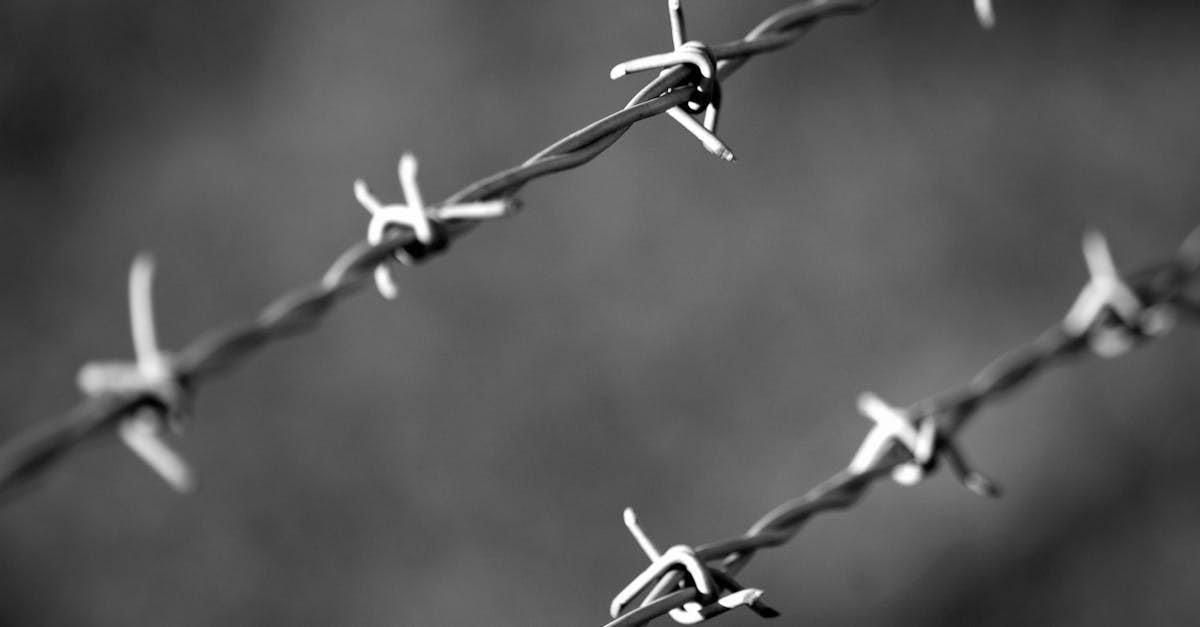 小红书实名账号:邦世云app详情下载教程