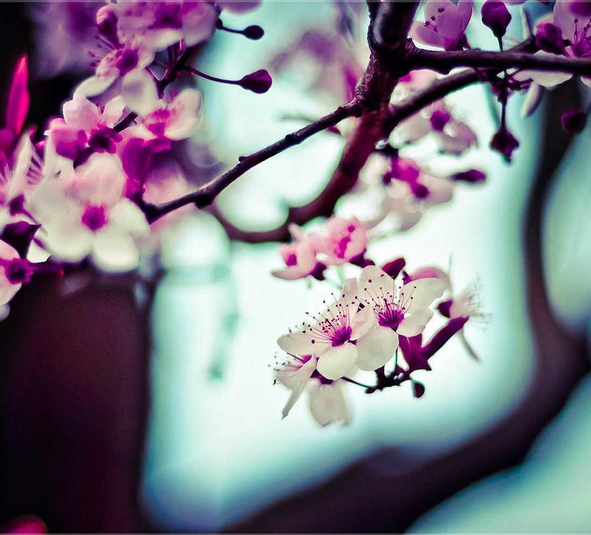 各种国外VX号：实名认证有助于珍惜个人信息的安全资产