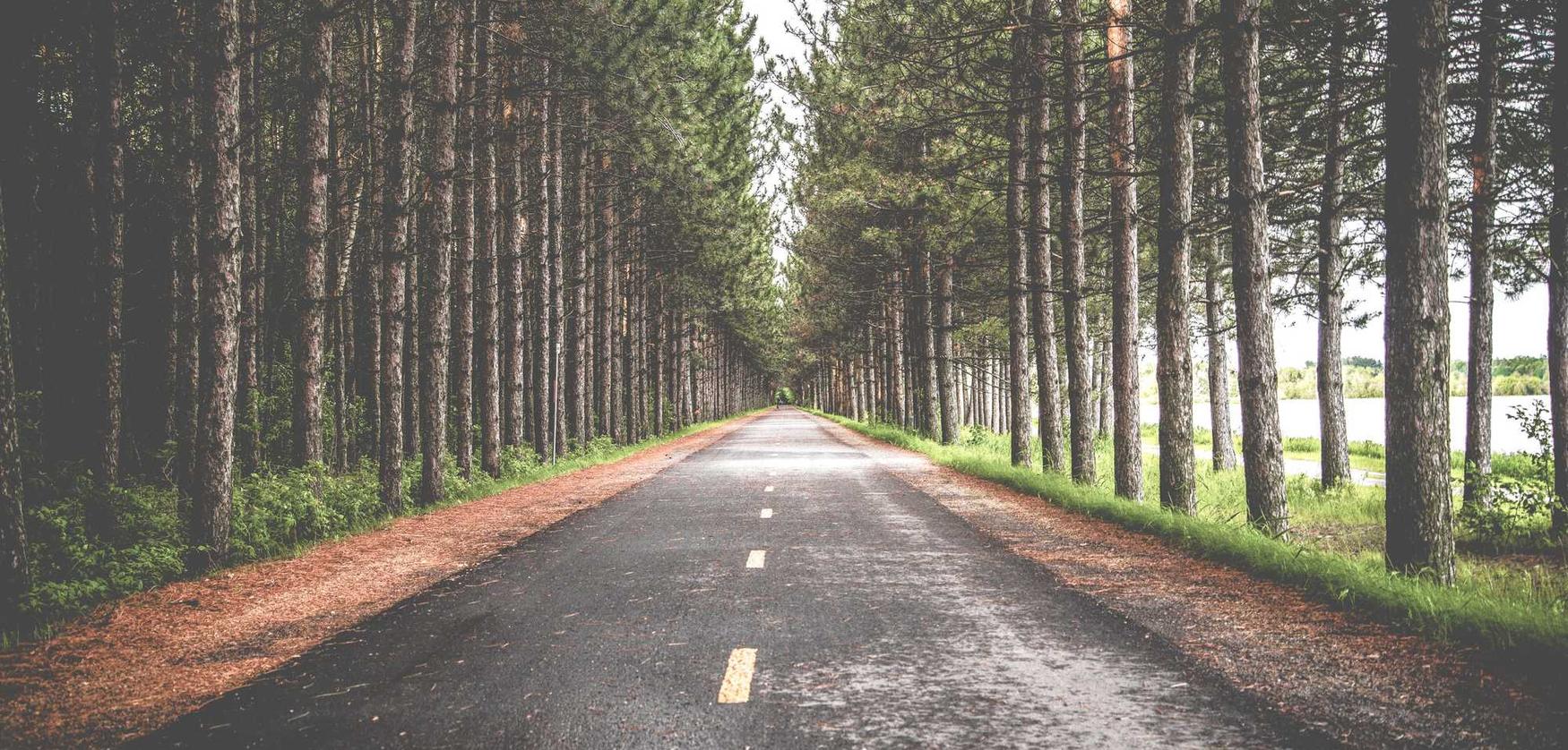 卖vx的网站:从详细案例看短信营销如何提高销售额