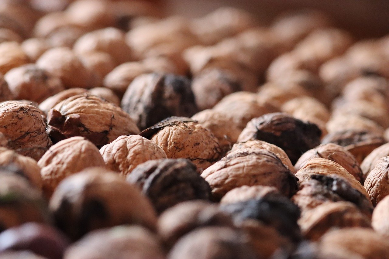 如何提高你的网站排名