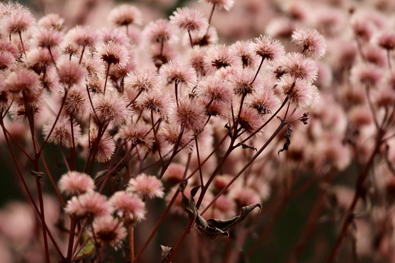 忠告七星巧克力爆珠:新华产品通app详情下载教程